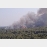Brand vom 21. Juli 2015 ca. 300 m vom Standplatz entfernt. Dank glcklicher Windrichtung "nur" Wald verbrannt.