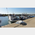 Sizilien,Ognina: Fischer- und Sporthafen