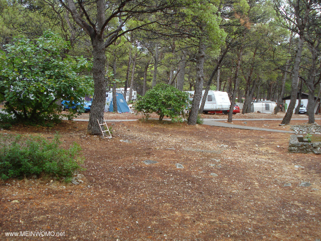  Kamp Basko Polje in una pineta