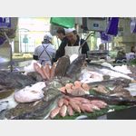 Fischverkufer in der Markthalle Pontevedra
