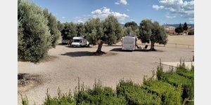 Die Stellpltze unter Olivenbumen. Sehr idyllisch, ruhig und gepflegt