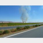 2 - abgeerntete Getreidefelder an der D 400 zwischen Sanliurfa und Mardin werden abgebrannt