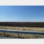 4 - abgeerntete Getreidefelder an der D 400 zwischen Sanliurfa und Mardin werden abgebrannt