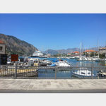 Blick auf den Hafen von Kotor