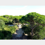 Blick vom Aussichtsturm im Naturpark bei Valdelagrana