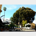 Blick auf den Plaza General Primo de Rivera in Jerez