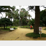 im Park Genoves in Cadiz