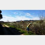 Blick auf Brinas im Weinanbaugebiet bei Haro