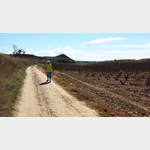 zwischen Brinas und der alten Brcke ber den Ebro im Weinanbaugebiet bei Haro