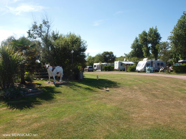  The pitches are spacious in a park-like grounds.