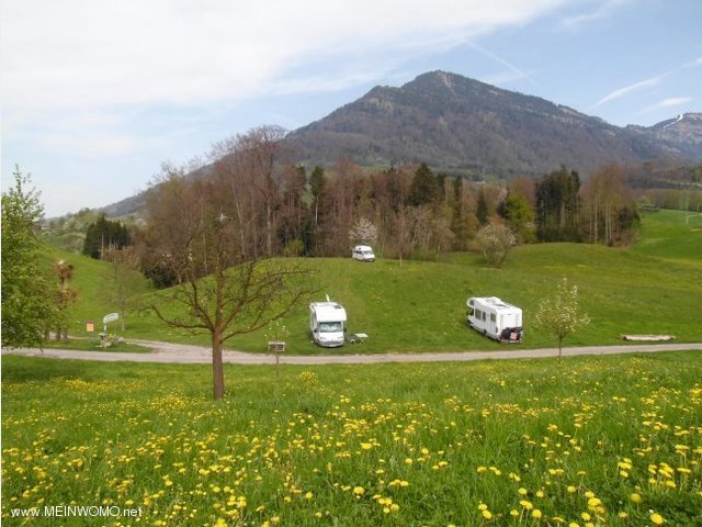  Schweiz - Weggis - Camping Farm Gerbeweid