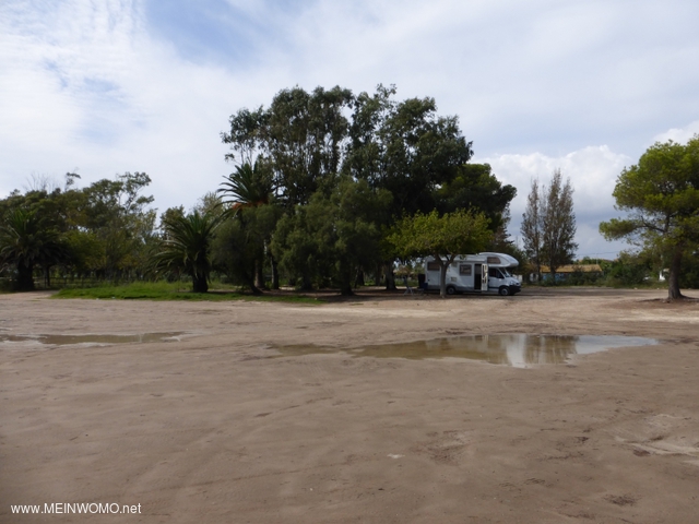  Ebro Delta - Lucaliptus - underjordisk parkeringsplats dig..  nra havet