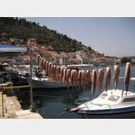 Griechenland - Gythio - Tintenfische - 