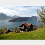 Schweiz - Vitznau - Riggi Bahn - Blick auf den Vierwaldstdter See 