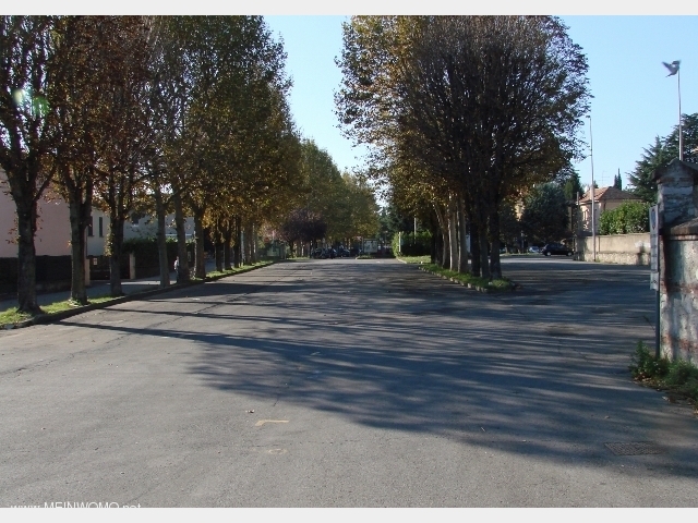  Market and parking lot with shade trees