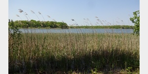 Blick vom Uferpfad auf den Lac de Madine