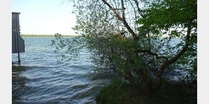 Blick vom Beobachtungssteg am Lac de Madine