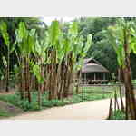 Thaidorf im Bambuspark Prafrance bei Anduze