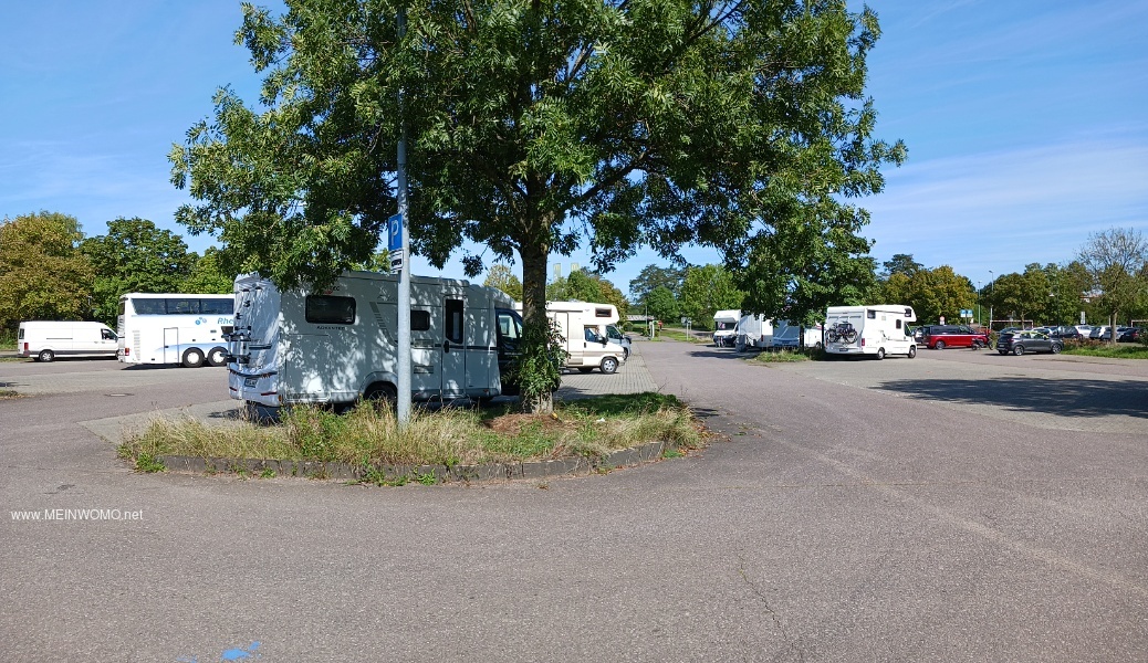 Camping-cars et bus 