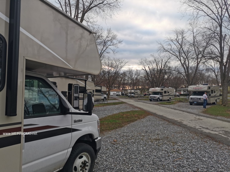   Pitches on the campground   