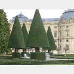 Residenz mit Hofgarten, Fantastische Geometrie der Bume