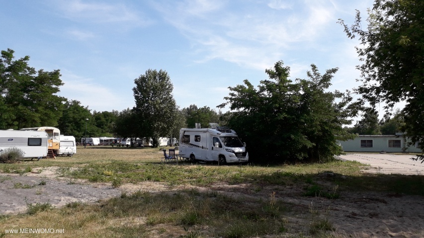 WoMo-Stellplatz am Rand des Campingplatzes. Schatten und Ruhe in Seenhe.