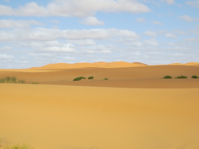  Parcheggio nelle dune