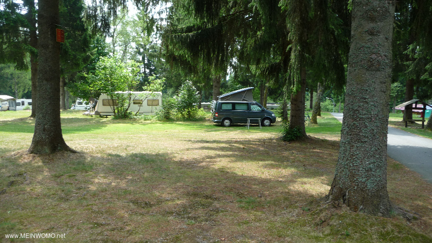  A small section of the campsite