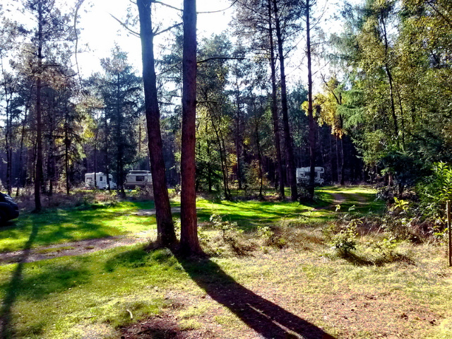  Motorhomes and caravans hidden in the forest (overlooking the square)..  In the foreground, an empt ...