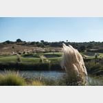 Amendoeira Golf Resort, Algarve Portugal, Faldo Platz