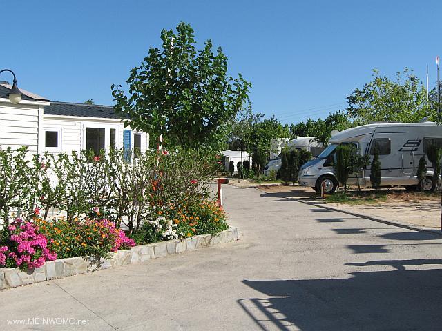 Wohnmobilpltze auf normalen Parzellen, wenn der Campingplatz nicht voll ist (Mai 2014)