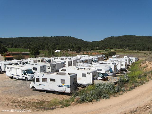  In fact, over 50 campers at a Fiesta in the City (May 2014)