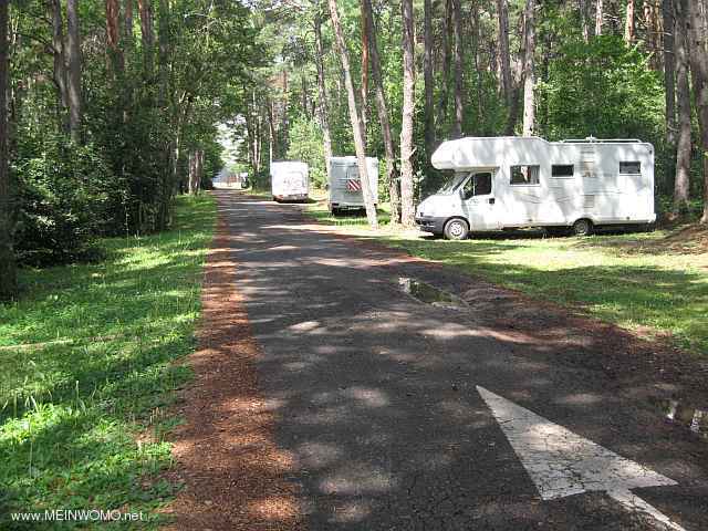  Parking in the forest (Aug. 2014)