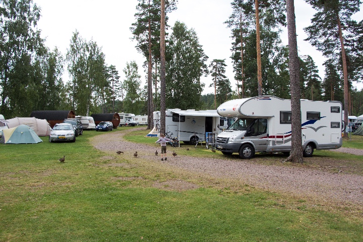  Eastern part of the campsite