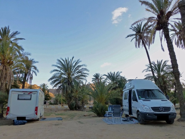 Stellplatz vor dem Campingplatz unter Palmen
