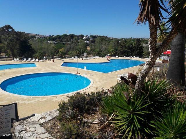  Pool area on camping Albufeira