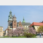 Wawel-Kathedrale