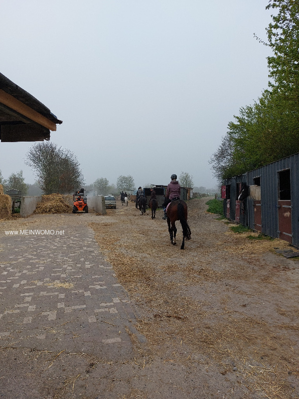 Paardenboerderij met minicamping