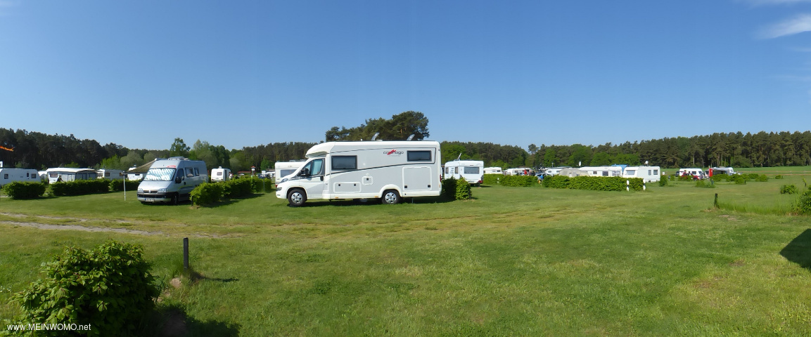  Panorama campsite in Freest, spacious and sunny pitches