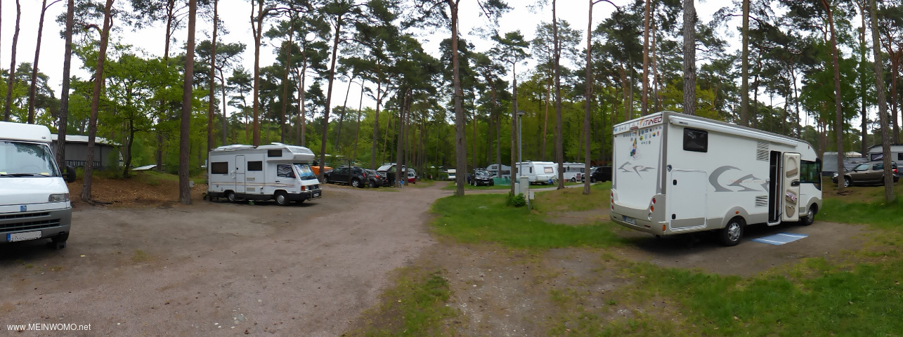  Panoramautsikt Camping Pommernland i Zinnowitz, skuggig och vldigt tyst.