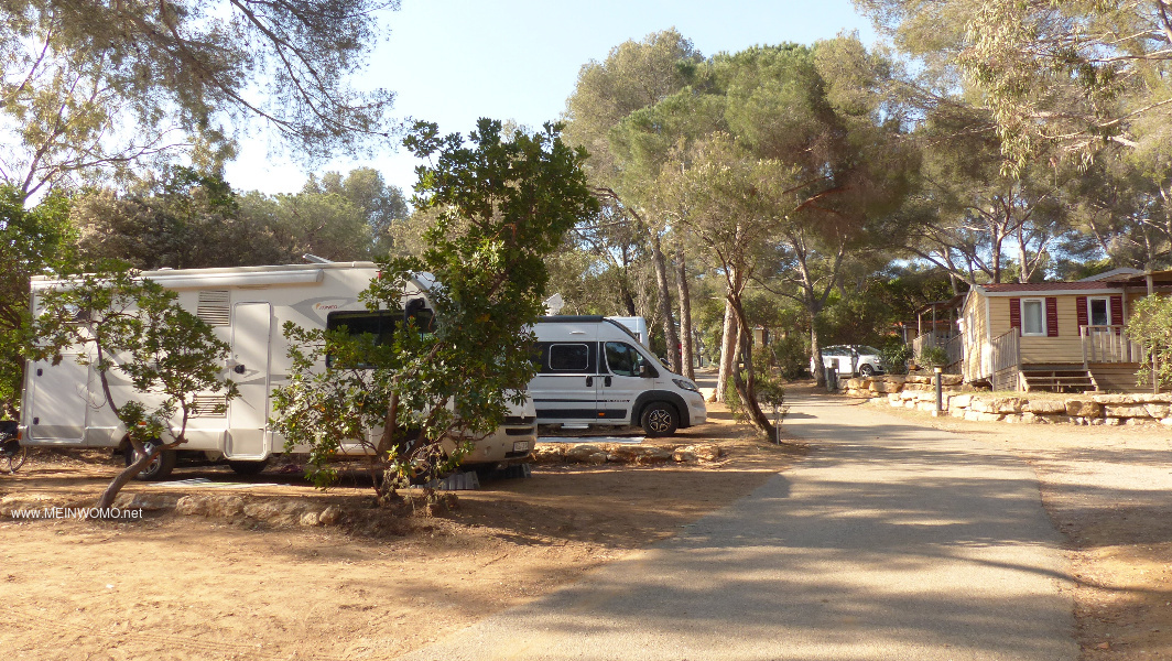 Delvis soliga, dels skuggiga stllplatser p en camping i sluttning, t.ex. Delkilar krvs. @Ingen an ...