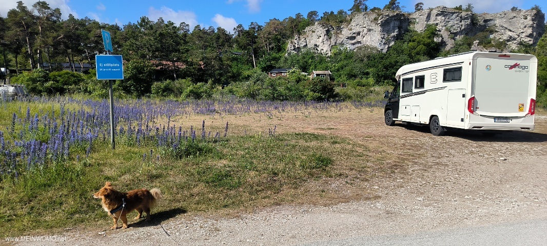 V. Du 25 juin au 10 août, interdit aux camping-cars.