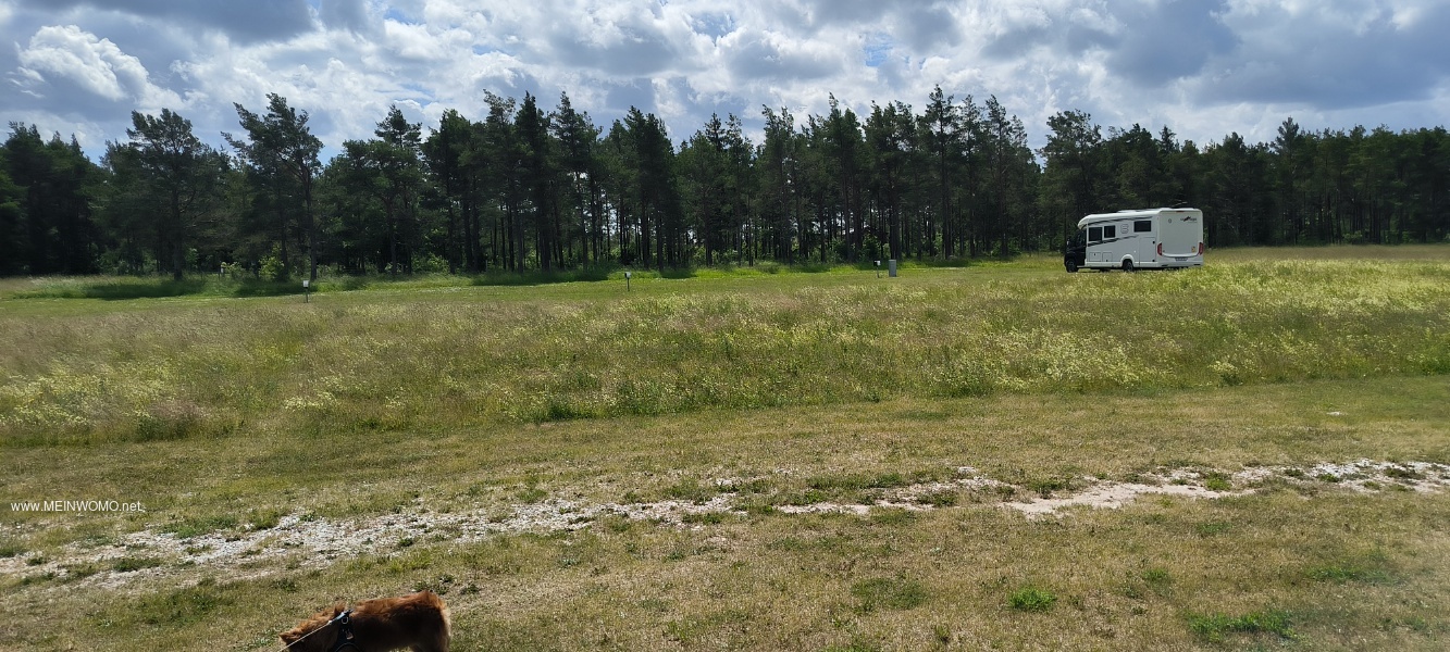 Natuurlijke plek aan de rand van het bos.