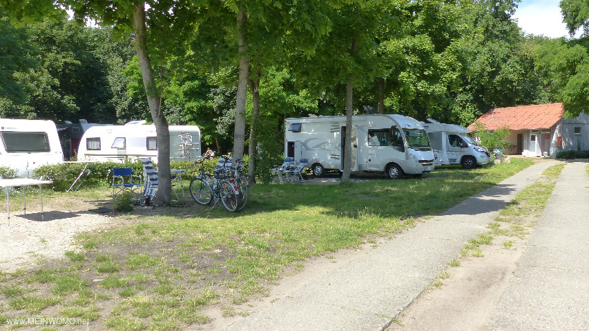Notre place sous les arbres, non loin du passage vers la zone de baignade sur la Havel. Juste sur la ...