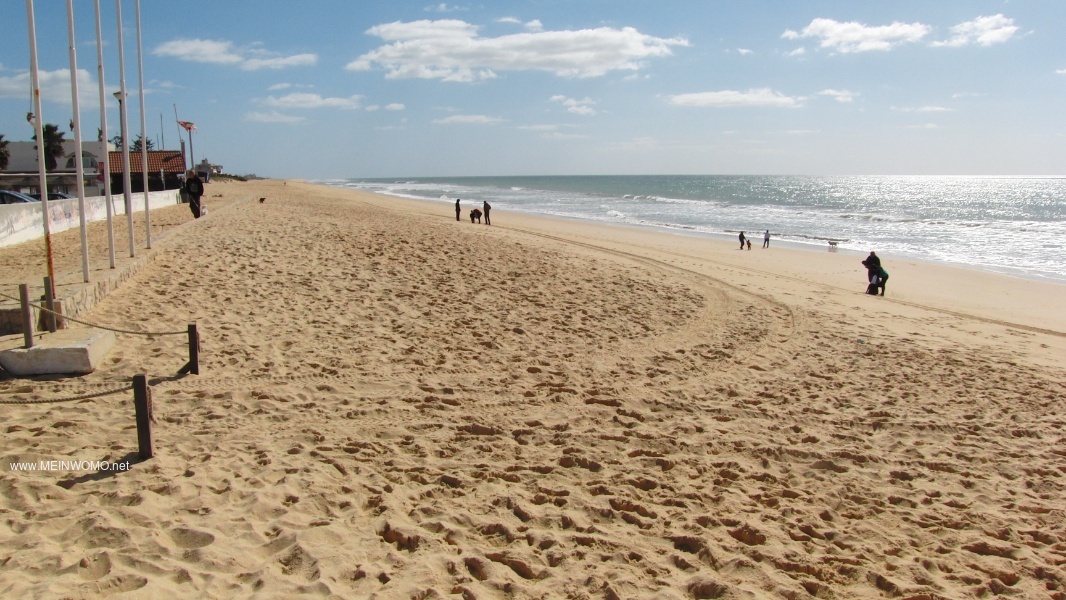Der Strand Praia de Faro (2015)