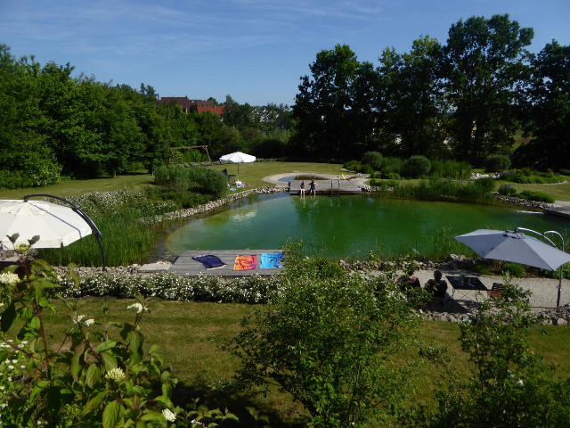  Natural pond in the campsite 