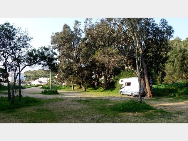  Place de parking dans un bosquet deucalyptus dans Salema