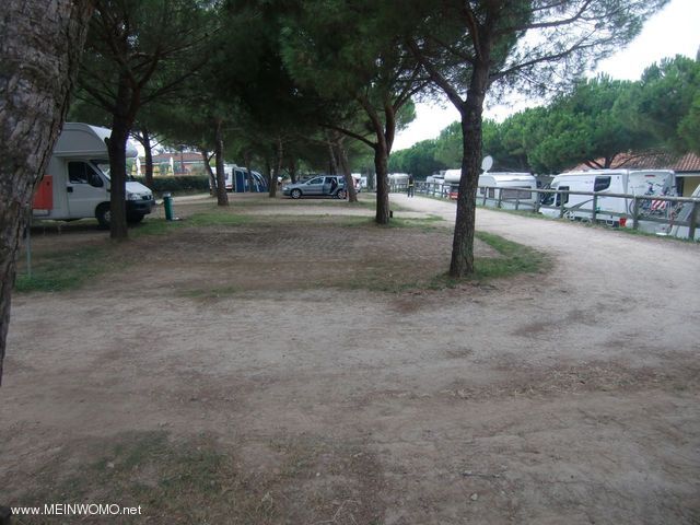  Plots in the upper camping area