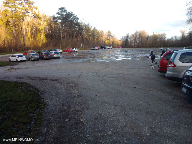  The parking lot on a weekend in January  