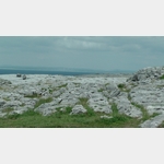 Karstlandschaft The Burren
